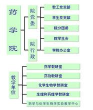 元組織機構圖