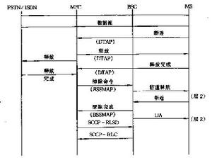 輸入模擬網路