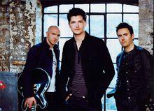 The Script