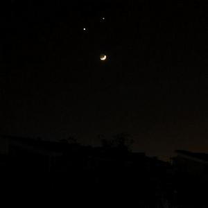 （圖）金星凌月