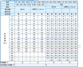 安全載流量