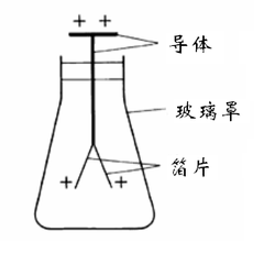 驗電器