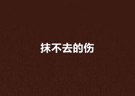 抹不去的傷[抹不去的傷是一部連載於新浪讀書的小說]