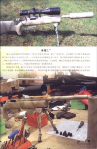 《名槍：中國5.8毫米槍族》