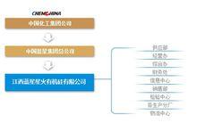 江西星火有機矽廠