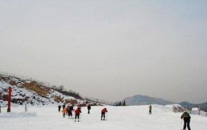 頓村滑雪場