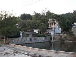 洪橋村[湖北省崇陽縣青山鎮洪橋村]