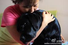 導盲犬珍妮[中國第一位女盲人鋼琴調律師]