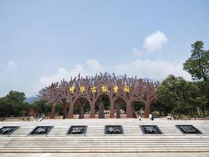 中華古板栗園