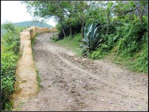 進村道路