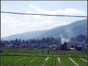 東風三家村