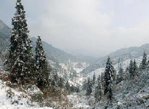 雪峰山國家森林公園