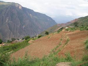 照布都村耕地