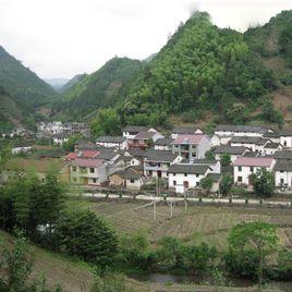 龍源村[安徽省黃山市黃山區焦村鎮下轄村]