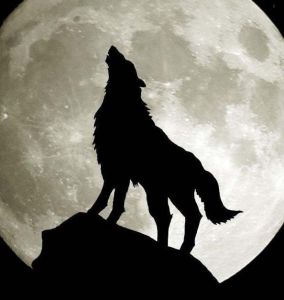 Wolf Totem