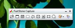 Faststone Capture界面截圖