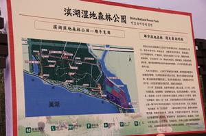 濱湖濕地森林公園簡介