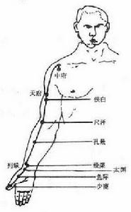 手太陰肺經穴