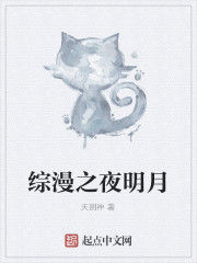 綜漫之夜明月 綜漫之夜明月