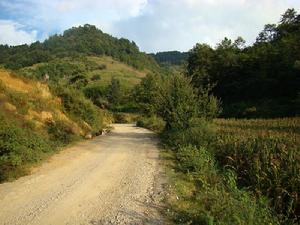 通村公路