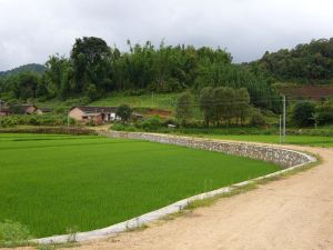 進村道路