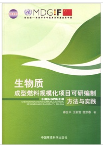 生物質成型燃料規模化項目可研編制方法與實踐