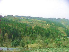 女媧山[河北省邯鄲市涉縣女媧山]