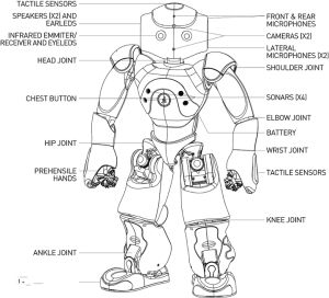 NAO機器人自帶的結構圖