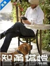 智勇搭檔 智勇搭檔