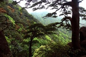 楊東山十二渡水生態旅遊區