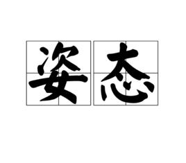 姿態[漢語詞語]