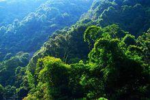 虞山寶岩生態觀光園