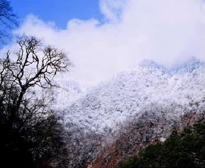 （圖）蘆山縣