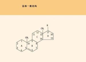 甾體化合物