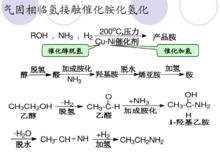 羥氨基化