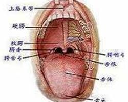 咽反射