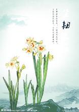 詠水仙[中國詩歌]