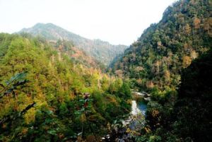 雷公山國家森林公園