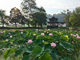 藍田村[安徽省黃山市歙縣溪頭鎮藍田村]