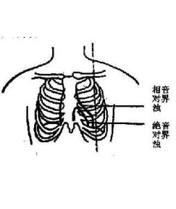 心濁音界