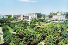 綠色大學