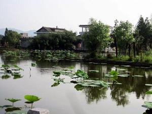 大橋村新農村建設