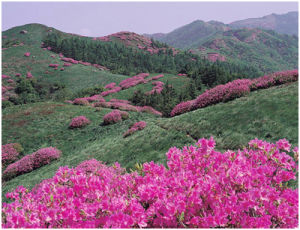 智異山國立公園