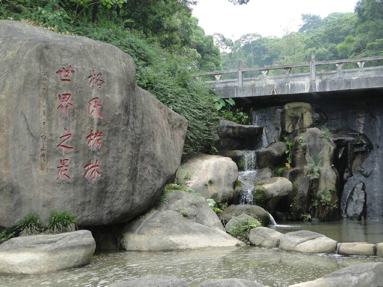 三明格氏栲省級自然保護區