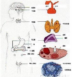 單克隆丙種球蛋白病伴周圍神經病