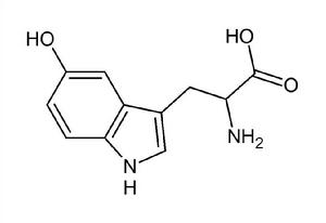 加納籽提取物