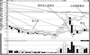 動量投資