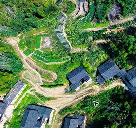 向陽村[雲南省昆明五華區沙朗鄉東村村委會向陽村]