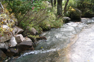 松山國家森林公園