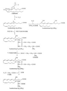 白三烯調節藥合成示意圖